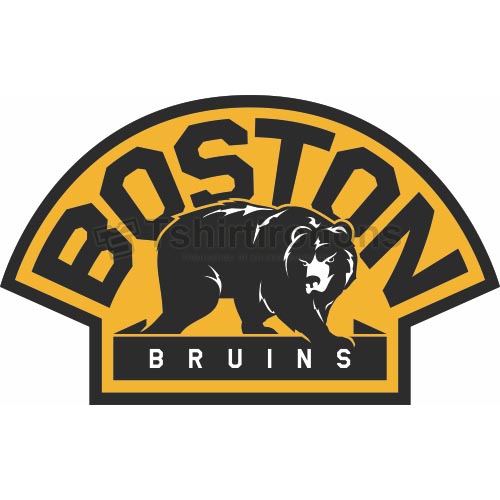 Boston Bruins T-shirts Iron On Transfers N75